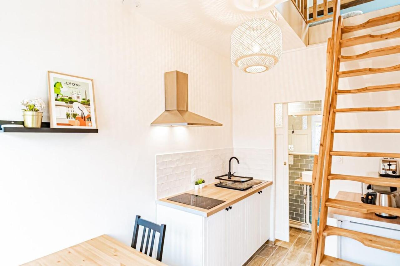Duplex Poizat - Joli Appartement - Villeurbanne Ngoại thất bức ảnh